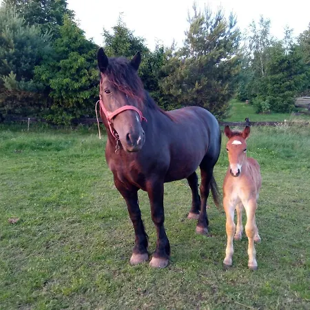 W Poblizu Jeziora * Czarnowka